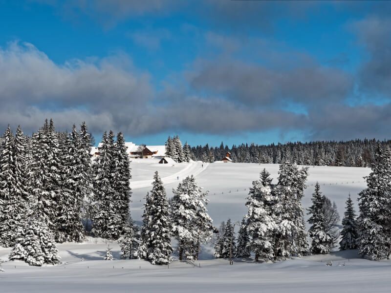 Winter auf der Horska Kvilda